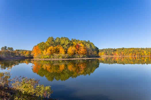 peaceful nature scene for reflection