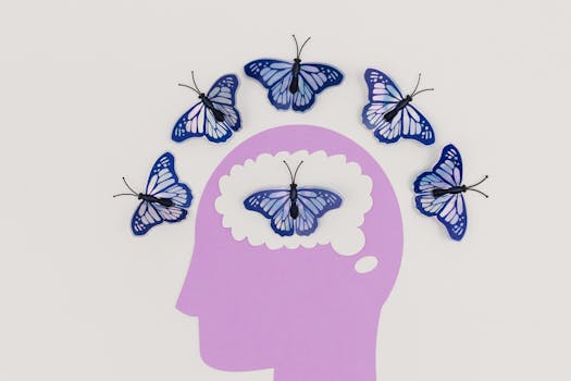 brain illustration showing different regions