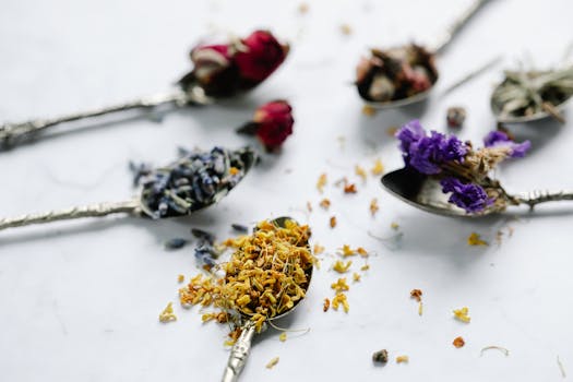 a variety of dried herbs in jars